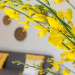 Apartmán 1 - Is Orrosas - Lucia's - Sa Crai Sardinian Experience *