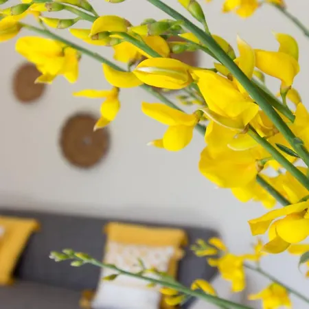 Apartment 1 - Is Orrosas - Lucia's - Sa Crai Sardinian Experience *